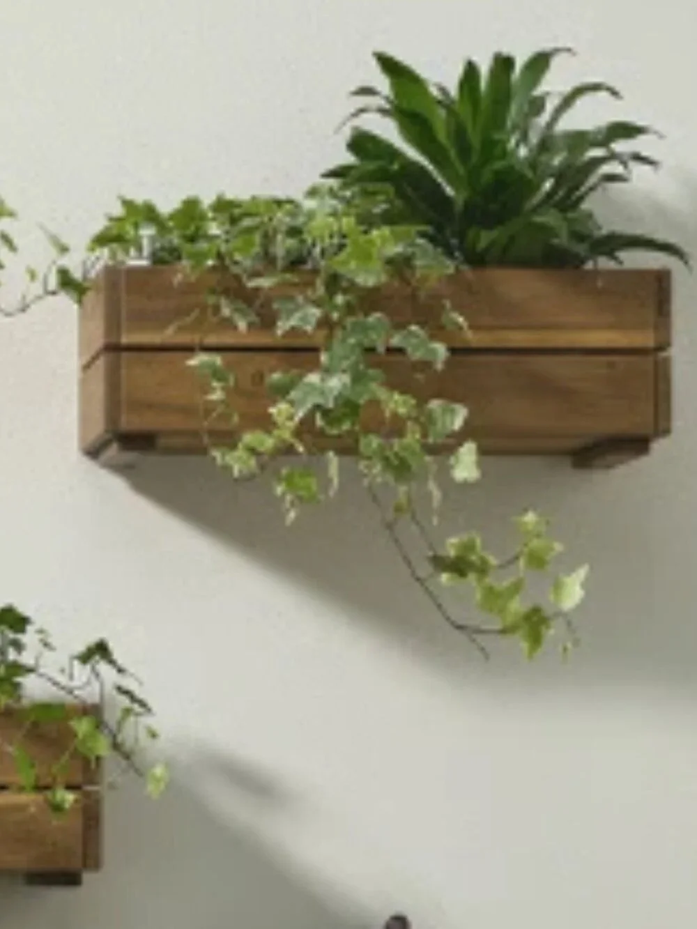 STJÄRNANIS 306.120.27 Flower box, outdoor acacia, 17x6 